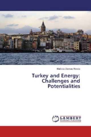 Turkey and Energy: Challenges and Potentialities