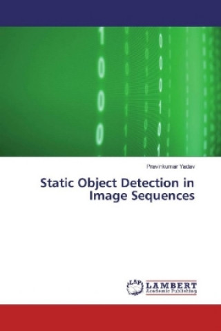 Static Object Detection in Image Sequences