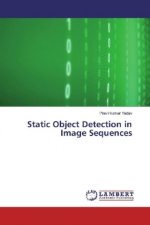 Static Object Detection in Image Sequences