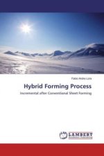 Hybrid Forming Process