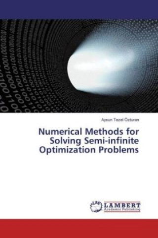 Numerical Methods for Solving Semi-infinite Optimization Problems