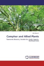 Camphor and Allied Plants