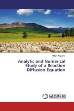 Analytic and Numerical Study of a Reaction Diffusion Equation