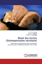 Black Sea Urchin (Stomopneustes variolaris)