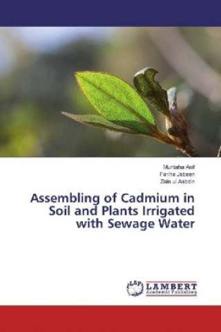 Assembling of Cadmium in Soil and Plants Irrigated with Sewage Water