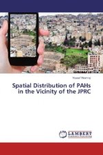 Spatial Distribution of PAHs in the Vicinity of the JPRC