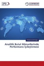 Analitik Bulut Mimarilerinde Performans yilestirmesi