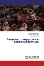 Zashhita ot korrozii v teplojenergetike