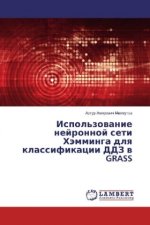 Ispol'zovanie nejronnoj seti Hjemminga dlya klassifikacii DDZ v GRASS