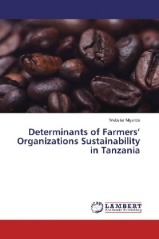 Determinants of Farmers' Organizations Sustainability in Tanzania