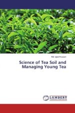 Science of Tea Soil and Managing Young Tea