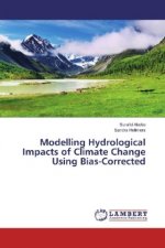 Modelling Hydrological Impacts of Climate Change Using Bias-Corrected