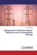 Assessment of Power Sector Reforms and Transmission Pricing