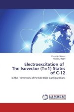 Electroexcitation of The Isovector (T=1) States of C-12