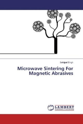Microwave Sintering For Magnetic Abrasives