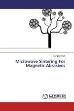 Microwave Sintering For Magnetic Abrasives