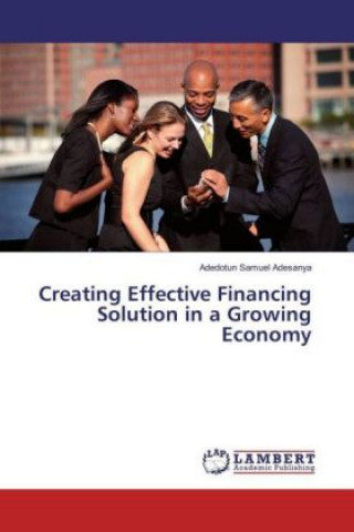 Creating Effective Financing Solution in a Growing Economy
