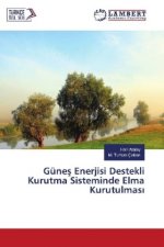 Günes Enerjisi Destekli Kurutma Sisteminde Elma Kurutulmas