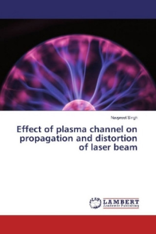 Effect of plasma channel on propagation and distortion of laser beam