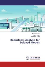 Robustness Analysis for Delayed Models