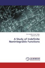 A Study of Indefinite Nonintegrable Functions