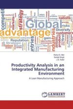 Productivity Analysis in an Integrated Manufacturing Environment