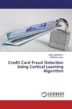Credit Card Fraud Detection Using Cortical Learning Algorithm