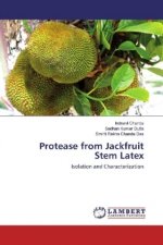 Protease from Jackfruit Stem Latex