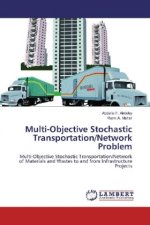 Multi-Objective Stochastic Transportation/Network Problem