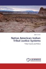 Native American Indian Tribal Justice Systems
