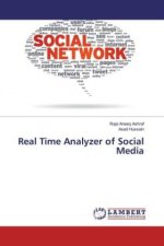 Real Time Analyzer of Social Media