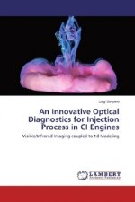 An Innovative Optical Diagnostics for Injection Process in CI Engines