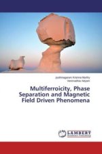 Multiferroicity, Phase Separation and Magnetic Field Driven Phenomena
