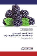 Synthetic seed from organogenesis in blackberry