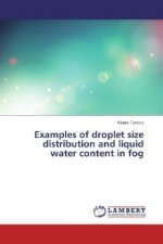 Examples of droplet size distribution and liquid water content in fog