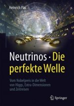 Neutrinos - die perfekte Welle