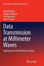 Data Transmission at Millimeter Waves