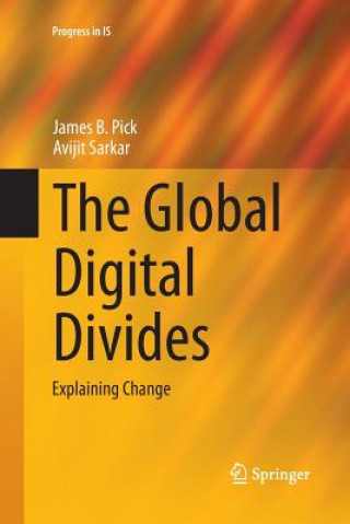 Global Digital Divides