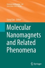 Molecular Nanomagnets and Related Phenomena