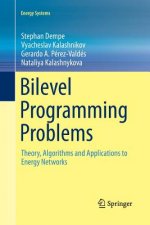 Bilevel Programming Problems