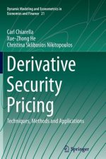 Derivative Security Pricing