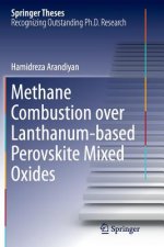 Methane Combustion over Lanthanum-based Perovskite Mixed Oxides