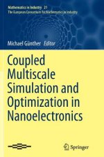 Coupled Multiscale Simulation and Optimization in Nanoelectronics