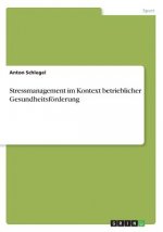 Stressmanagement im Kontext betrieblicher Gesundheitsfoerderung