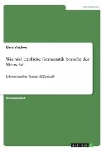 Wie viel explizite Grammatik braucht der Mensch?