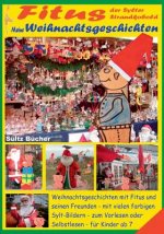 Fitus, der Sylter Strandkobold - Meine Weihnachtsgeschichten mit vielen farbigen Bildern