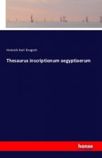 Thesaurus inscriptionum aegyptiaerum