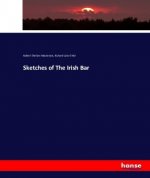 Sketches of The Irish Bar