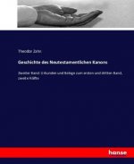 Geschichte des Neutestamentlichen Kanons