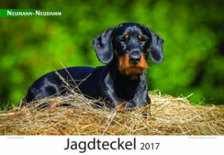 Jagdteckel 2017
